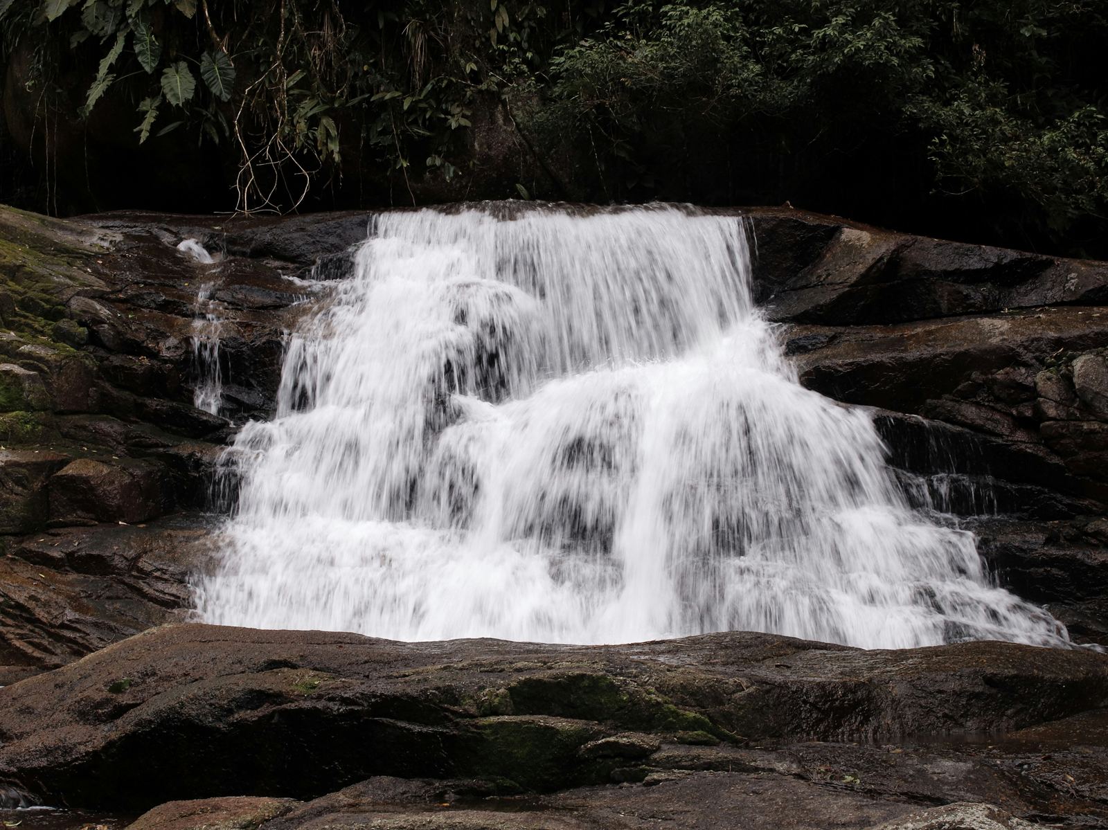 Cachoeira descendo por uma laje de pedra no meio da mata
